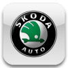 Срочный выкуп автомобилей Skoda